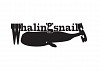 Whaling Snails